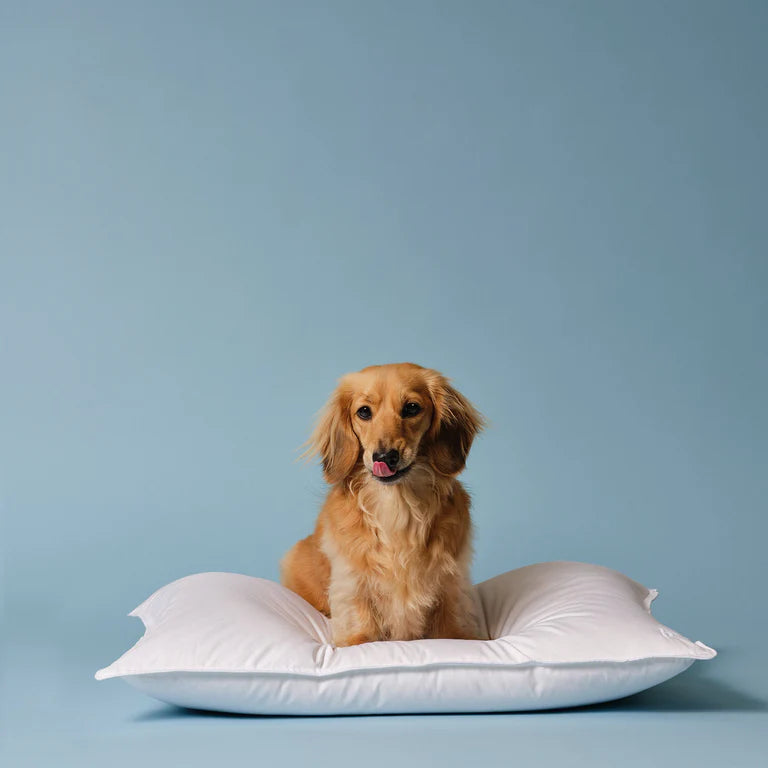 VORLOOM Down Pillow